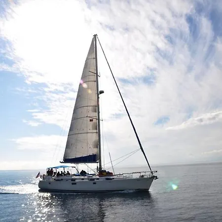 Sailing On A Private Acht Bavaria 44 With Captan *